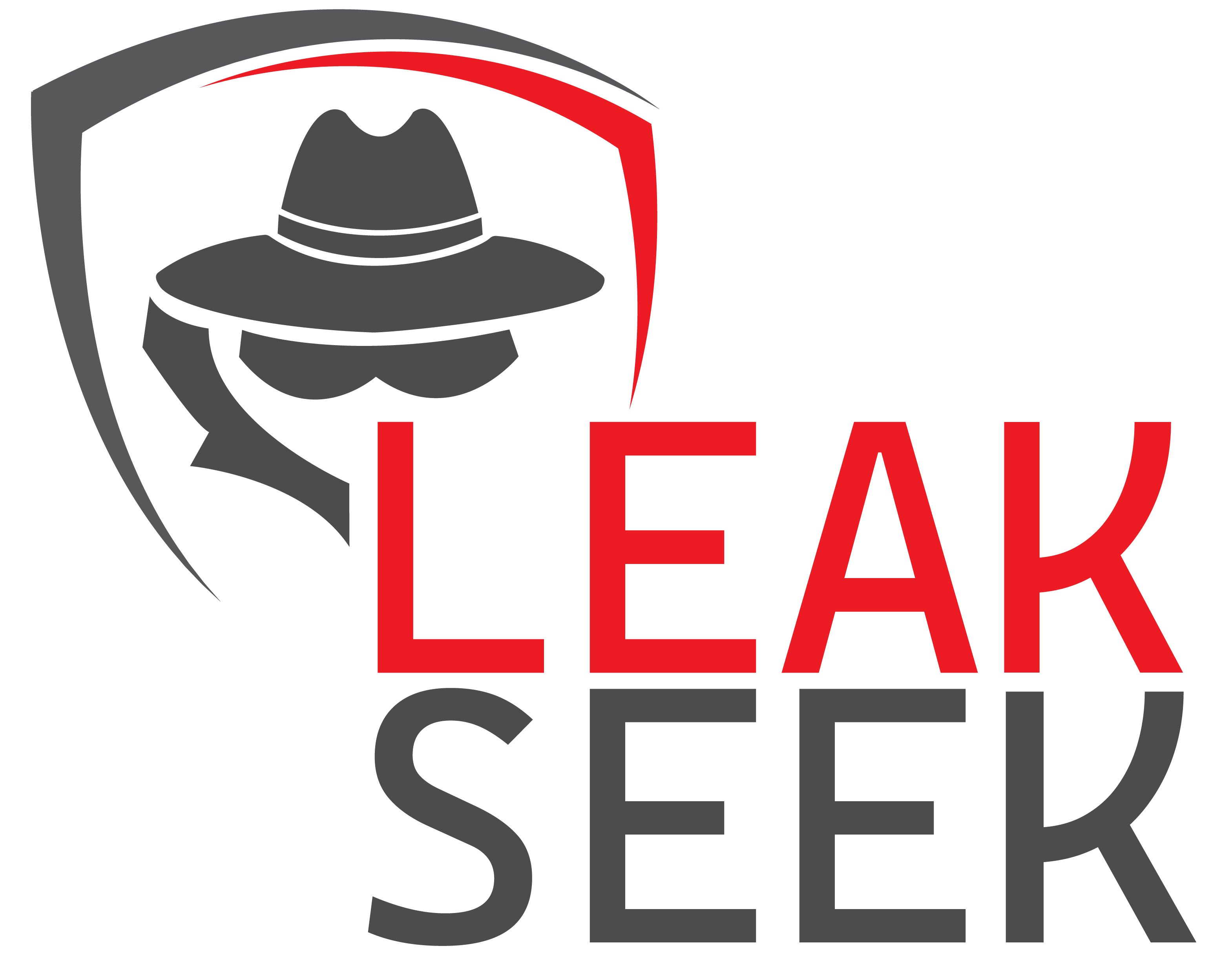 Leak Seek Logo